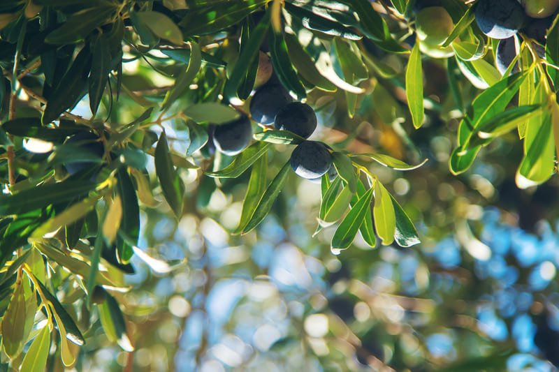Dépannage plomberie à Bernis – fuite, WC, robinetterie